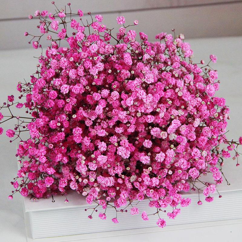 Baby's Breath Dried Flower Bouquet for Living Room Decor - Real Fresh Cut Flowers, Perfect for Gifting and Decorative Ornaments.