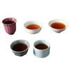Exquisite Tea Set: Premium Tea Cups Ideal for Tasting & Gift-Giving To Elders, Clients, Friends & Housewarmings