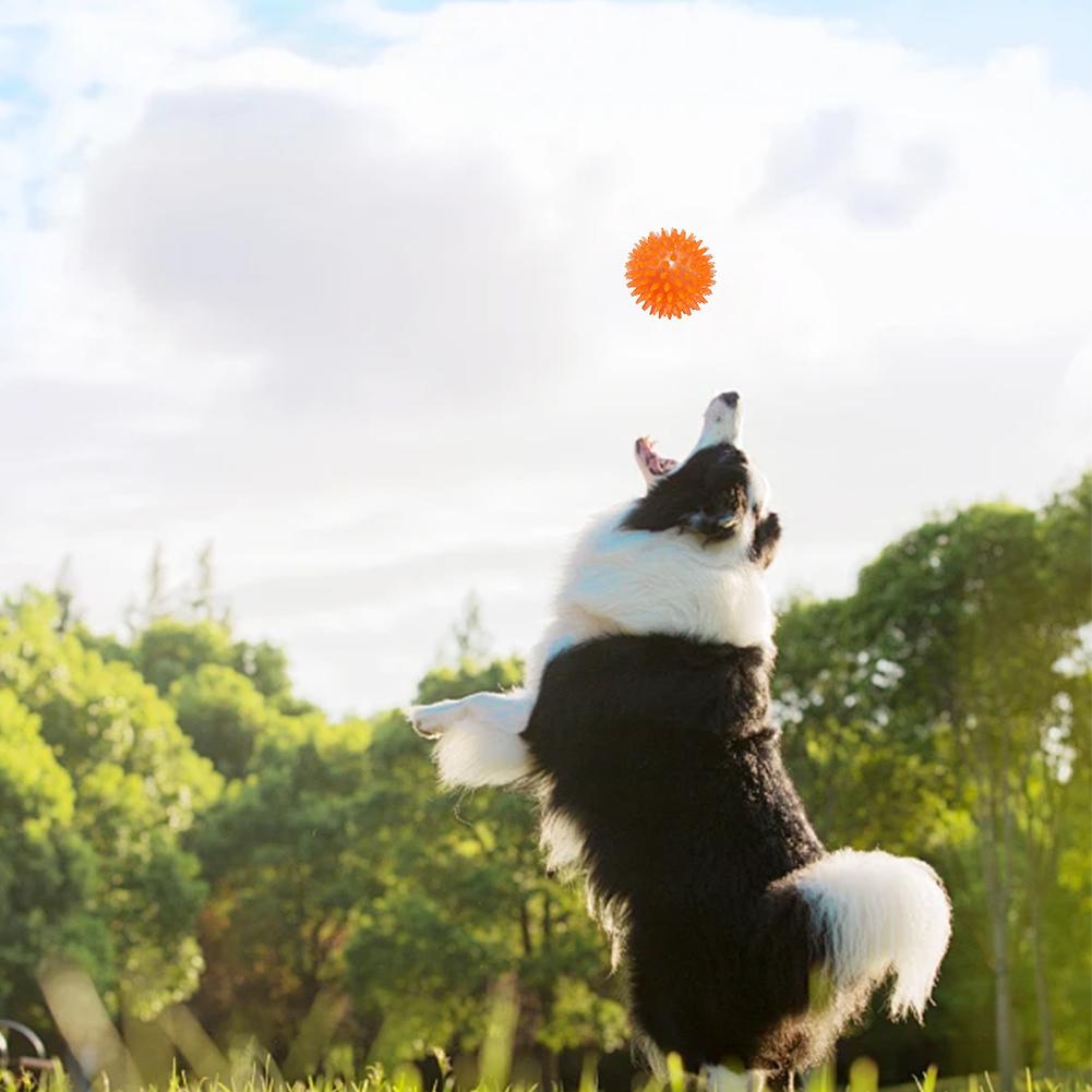 Pet Dog Toys Cat Puppy Sounding Toy Polka Squeaky Tooth Cleaning Ball TPR Training Pet Teeth Chewing Toy Thorn Balls Accessories