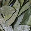 Yakcho Nara Dried Graviola Leaves 1 Pcs 1kg