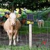 2pcs Electric Fence Wire Connect Safe Copper Electric Fence Jump Leads Practical Electric Fence Clips for Farm