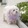 Fashionable Dog Headwear for Training Face Mesh Net Anti Eating Pet Headgear Breathable Adjustable Washable Head Cover Small Medium Dogs Cats