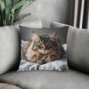 2D Flat - A Traditional Style Green-Eyed Long-Haired Cat Printed Pillowcase