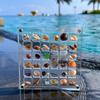 Mini durchsichtige Muschelsammlung Box - Hohe Transparenz, Stark magnetischer Acryl-Koffer
