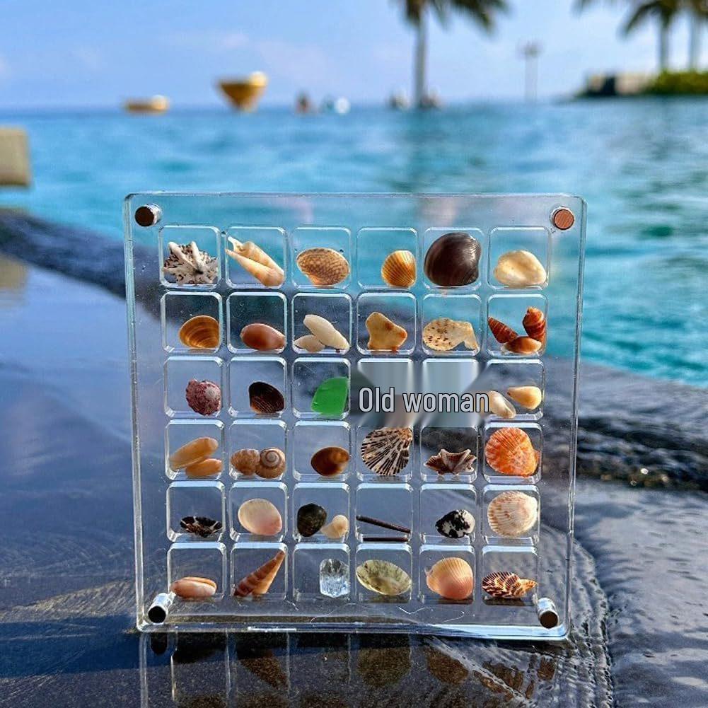 Mini durchsichtige Muschelsammlung Box - Hohe Transparenz, Stark magnetischer Acryl-Koffer