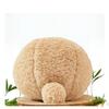 1 Stück Kaninchenspielzeug Stressabbauball, Meerschweinchen Krallenschärfwerkzeug