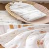 Newborn Winter Swaddle Blanket