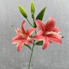 3D Printing Fake Lily Bouquet 2 Heads Wedding Bridal Bouquet  for Home Wedding Decor