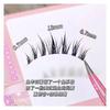 Aimo - 5-Pair Set: False Eyelashes