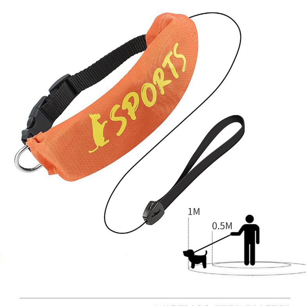 Pet Products Dog Automatic Retractable Leash 2 in 1 Retractable Dog Collar Leash