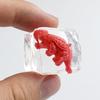 15Pcs Dinosaur Ice Cube Squeeze Toy Anxiety Relieving Clear Cube Sensory Toy Soft Stretchy Transparent Stress Ball Focus Aid Relaxation Tools