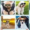 2025 Fashion Pet Cat Puppy Eyeglasses Protective Sunglasses Dog Eyewear Glasses for Pet Supply Adjustable Elastic Breathable