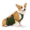 Puppy Summer Clothes Waterproof Breathable Bellyband For Dogs Anti-dirty Belly Cover Bib Pocket Washable Dog Clothes