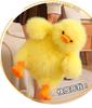 Adorable Yellow Long-Haired Plush Duck Doll - Huggable Stuffed Animal Pillow Gift