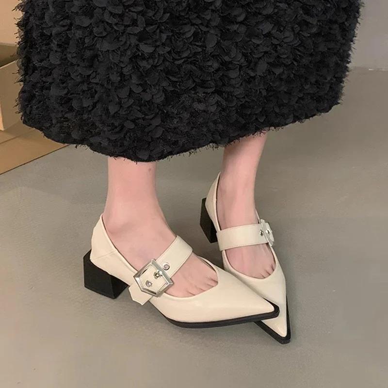 Pointed Toe High Heels Shoes Women Sandals Spring Chunky Dress Shoes Designer 2024 New Summer Buckle Pumps Zapatillas Female