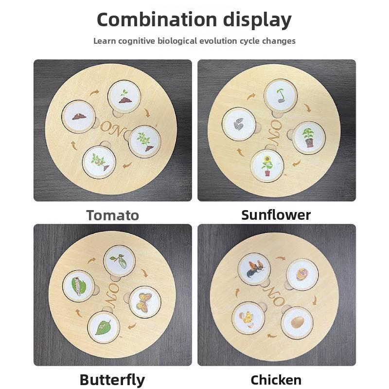 Wooden Kids Montessori Life Cycle Puzzle Educational Toy Cognitive Development
