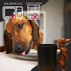 Cană Dachshund Făcută Manual, Cană de Cafea Creativă 3D Animal Rășină cu Mâner Câine, 11oz Cănă Amuzantă Noutate Memorială Artă, Cadouri Pentru Iubitorii de Câini