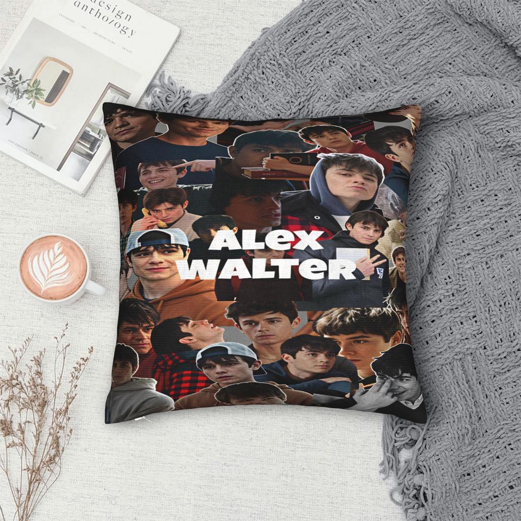 My Life With The Walter Boys Pillow Cover Kawaii Pillow Case For Sofa Car Home Decor Custom Pillowcases Gift Idea