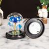 Artificial Rose Flowers Glass Rose LED Light  Gift For Valentine's Day