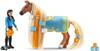Schleich Horse Club Starter Set Kim and Caramello 42585