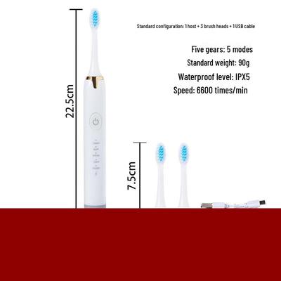 DSK Sonic Electric Toothbrush for Adults CN Plug (adapter Included)