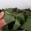 Jushi Double 420D Camouflage Net
