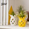 Cute Minimalist Plant Pot Hollow Pineapple Flower Vase for Air Plants 3D Printed Geometric Planter Planter Decorative Desktop Succulents Home Office