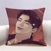 BL Drama Manhwa PPearl BBoy  Doublesided print Pillow Case Cushion Cover Throw Pillow Case For Car Sofa