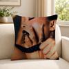 Singer JJOLIN Cushion Cover Soft Short Plush SkinFriendly Cushion Case for MultiScene Use