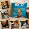 Plk M-Mathieus Singer Cool Cushion Cover Silky Short Plush Invisible Zipper Dustproof Sofa Pillow Case For Home Decor