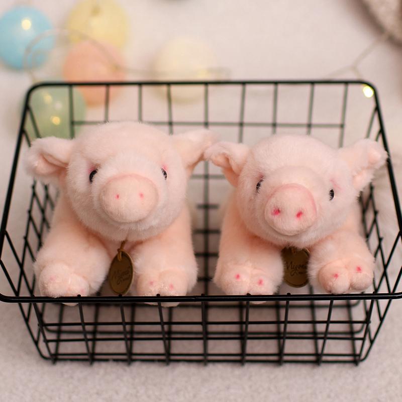 20CM Angel Pig plus jucărie desene animate animale de pluș păpușă anime moale copii Babys jucării pentru fete cadou de ziua de naștere