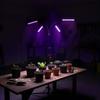 Plant Grow Light with 4 LED Panels for Lighting, Cultivation with Timer, Remote Control, USB