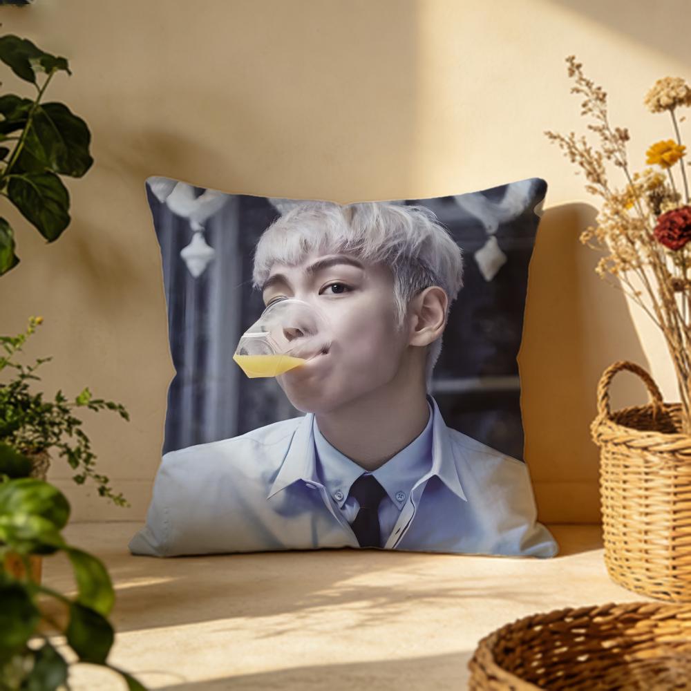 Hot TTOPTOPPSD Cushion Cover Versatile DoubleSided Pillow Case Fit for Sofa Bed Car  Daily Decor