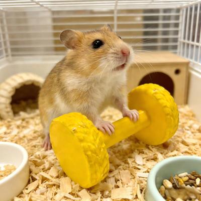 Hamster Barbell Roller Toy Boredom Stress Relief Barbell Shape Interactive Chew Toy Chinchilla Gerbils Rats Mouse Exercise Accessories