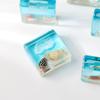 Creative Ocean Micro Landscape Scene Decoration Props Creative Crab Starfish Resin Crafts Decoration Ornaments Small Gifts
