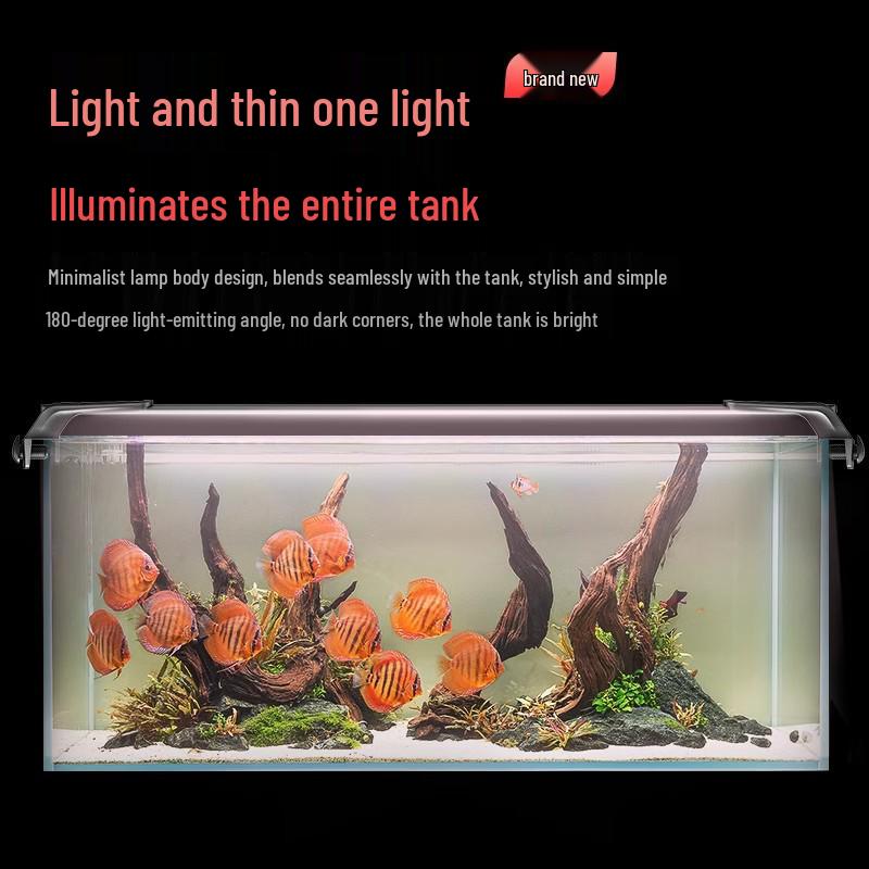 Ji Yin Waterproof LED Light for Native Fish Tanks, Algae Control, Submersible Stream Tank Lighting