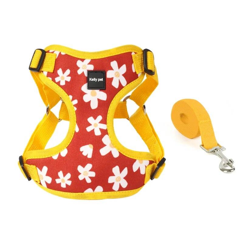 Hunde- und Katzengeschirr für kleine und mittelgroße Hunde, Geschirr- und Leinen-Set, atmungsaktive Welpenweste, Französische Bulldogge, Chihuahua, Brustgurt, Heimtierbedarf