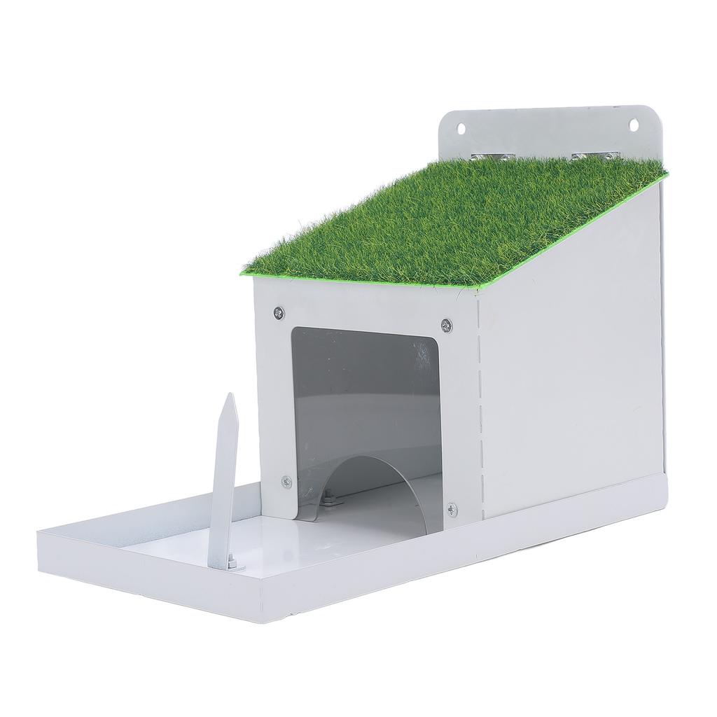 Eichhörnchenfutterspender mit Maiskolbenhalter Wandmontierte Metall-Eichhörnchenfutterbox für Außenhaus