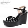 Fashion Fashion 12cm/10cm/8cm/6cm Wedge Heel Sandals Women Summer 2024 New High Heel Shoes Platform Fashion Open Toe Sandals