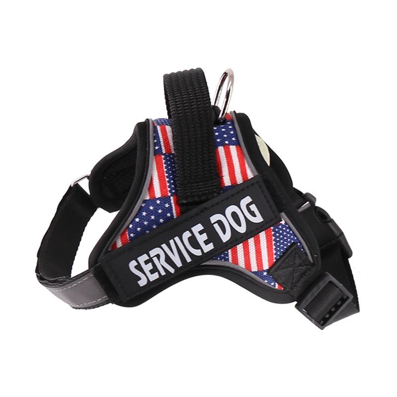 Verstellbare Hundeleine & Geschirr für mittelgroße bis große Hunde