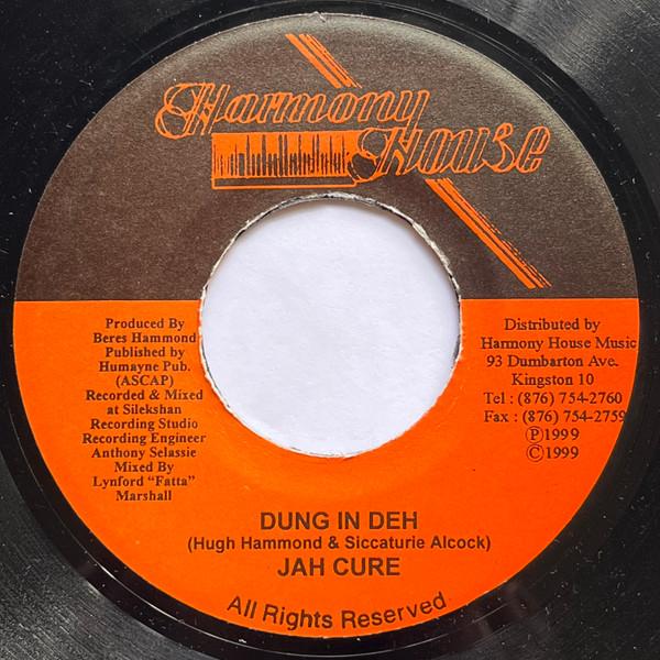 

7inch Record JAH CURE Dung In Deh NONE Harmony House 1999 Jamaica Reggae Ska Dub Used