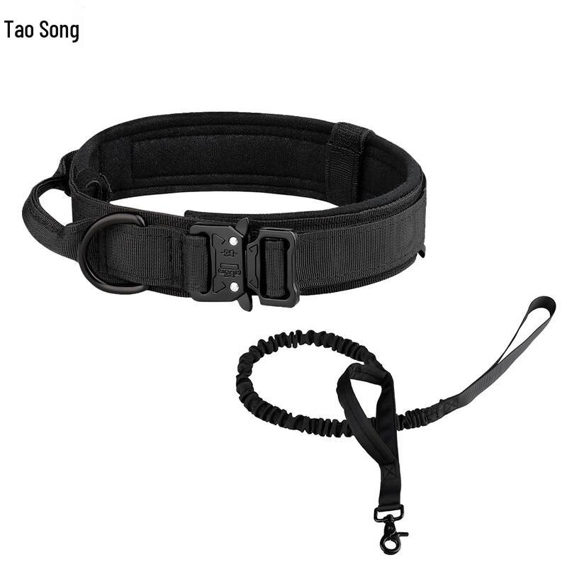 Outdoor Training Pet Collar and Leash Set