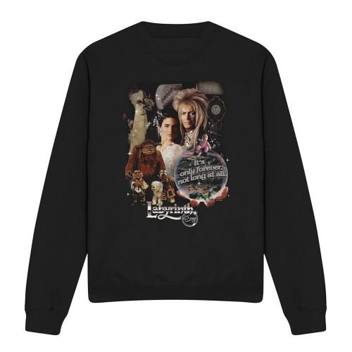 Labyrinth Unisex Adult 25 Years Of Magic Sweatshirt