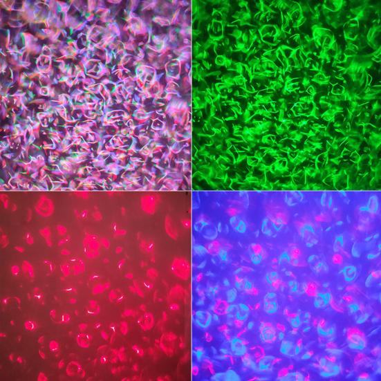 1 Set RGB Lamp Rechargeable Party Control Remote Wide Application Flicker Free Non-Glaring Rotating RGB