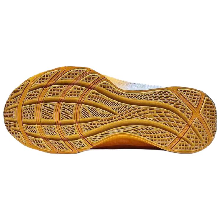 Nike LeBron TR 1 Aluminium University Gold Herren Sneaker Blau Weiß FJ6151-401