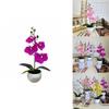 New Four Flower Small Round Orchid Desk Plant With Artificial Flowers For Home Decor And Office Use