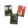 10.4*7.3cm The Wild Muse Oracle Deck 54 Cards
