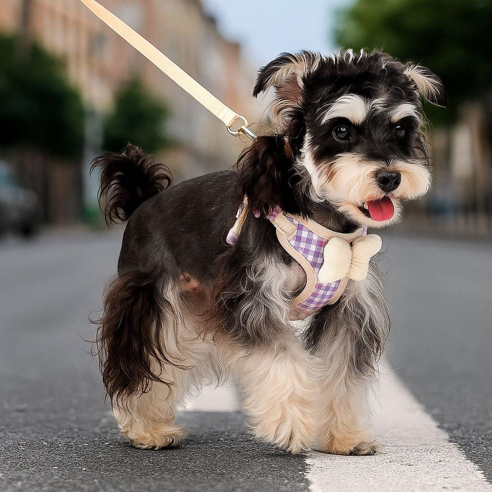 Nastavitelný psí postroj s mašlí, prodyšné psí vodítko, roztomilé pet trakční lano pro kočky a psy