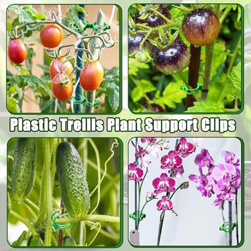 100PCS Garden Plant Flowers Tied Bundle Branch Clamp Clip Class Tools Flowers Vegetables Vine