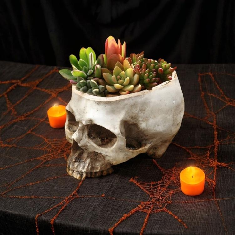 Modern Miniature Skull Resin Planter Unique Skull Shape Halloween Flower Pot for Air Plant And Small Greeneries Display